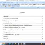 Raportul de audit intern in cadrul primăriei X
