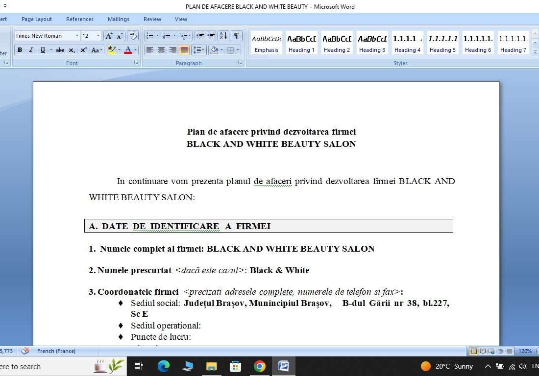 Plan de afacere privind dezvoltarea firmei  BLACK AND WHITE BEAUTY SALON