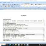 Analiza comparativa a stilurilor de negociere