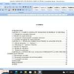 Analiza comparativa a site-urilor de comert electronic