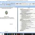 Proiect privind auditul financiar privind conturile de personal