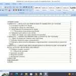 Abilitatea de a vinde-intre teorie si practica