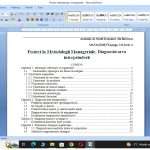 Proiect la Metodologii Manageriale. Diagnosticarea intreprinderii