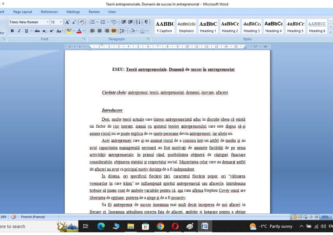 Teorii antreprenoriale. Domenii de succes în antreprenoriat