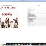 Crearea unei clinici veterinare