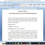 Plan de consiliere pentru adolescentii din familiile monoparentale