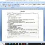 Contabilitatea si gestiunea stocurilor de materii prime și materiale