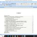 Controlul fiscal si auditul intern la primaria