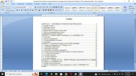 Perfectionarea managementului carierei