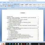 Eficiеnta proiеctului dе invеstitii in cadrul firmei
