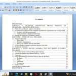 Lansarea unui nou produs in cadrul bancii Idea