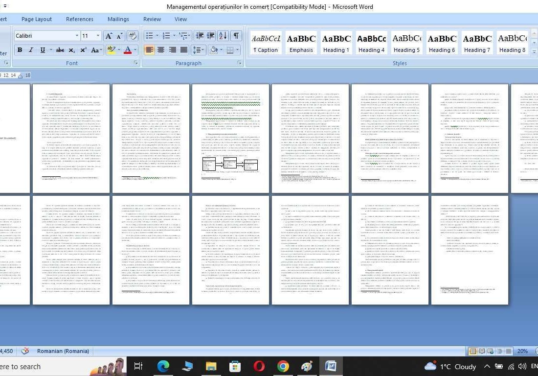 Managementul operatiunilor de comert