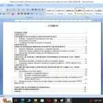 Eficiența serviciilor în cadrul firmei