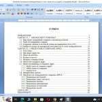 Managementul in SUA. Studiu de caz Apple