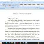 Cultura in marketingul international