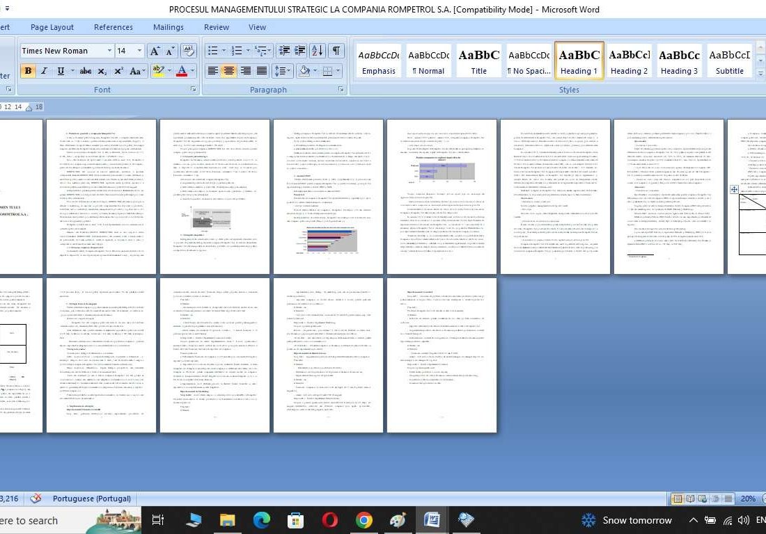 Managementul strategic in cadrul firmei