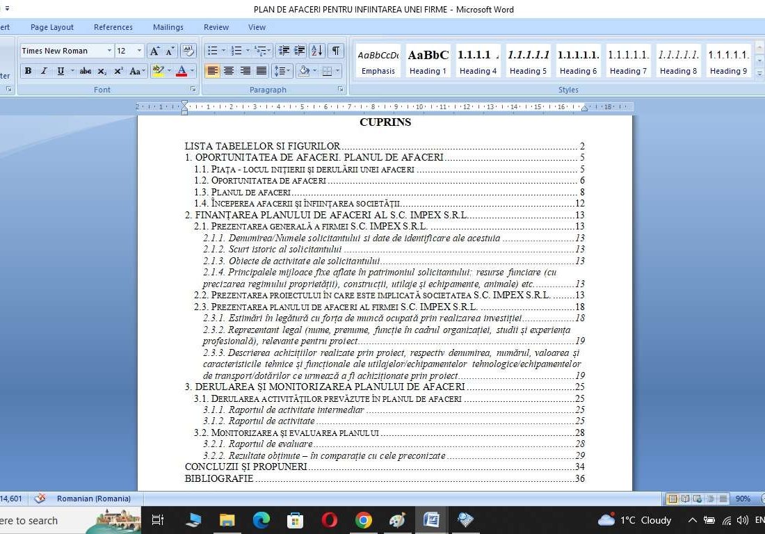 Plan de afaceri pentru infiintarea unei firme