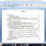 Analiza strategică a mediului concurenţial al firmei