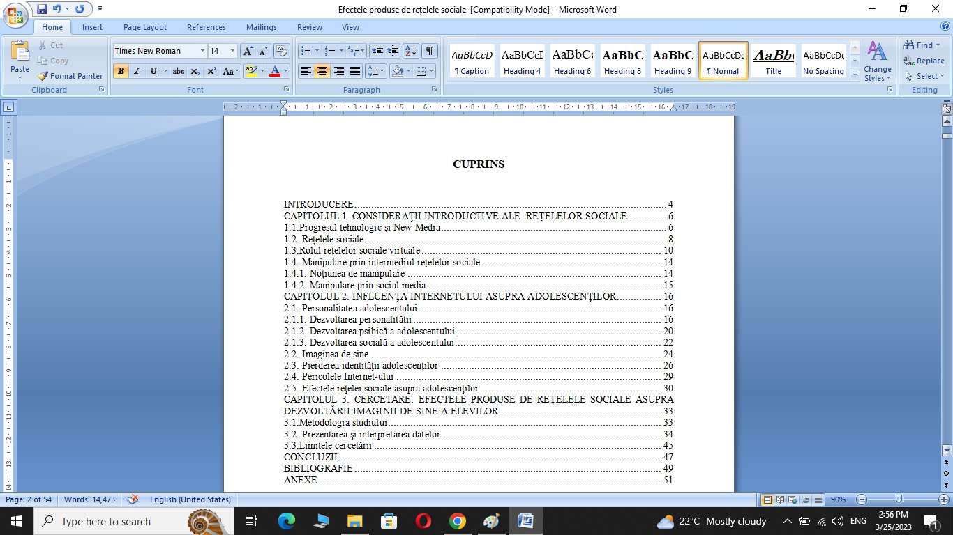 Efectele produse de rețelele sociale asupra dezvoltării imaginii de sine