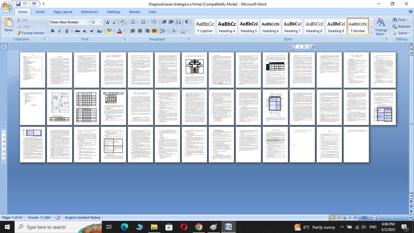 Strategia de piață a firmei - imagine 2